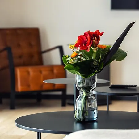 Nomadic Urban Premium